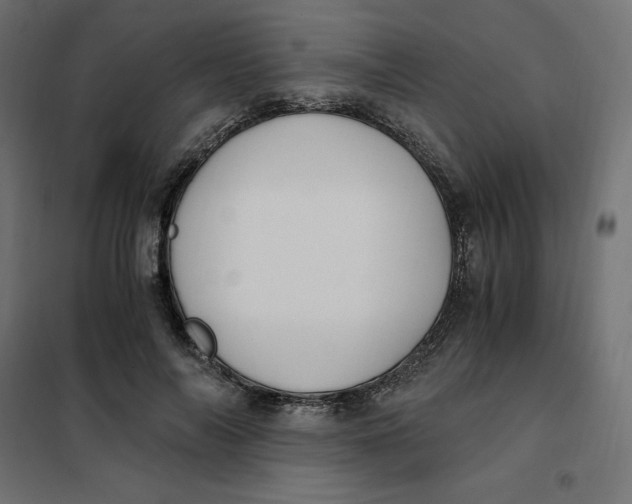 X0000101410694200807281026