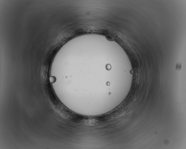 X0000101410695200807281026