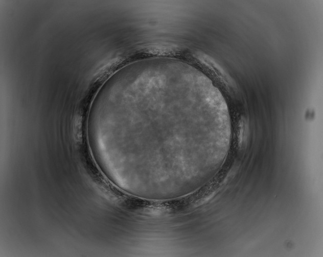 X0000101410696200807281026