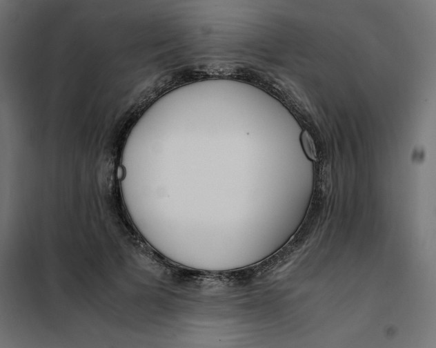 X0000101410697200807281026