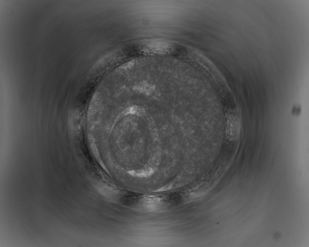 X0000101410701200807281026