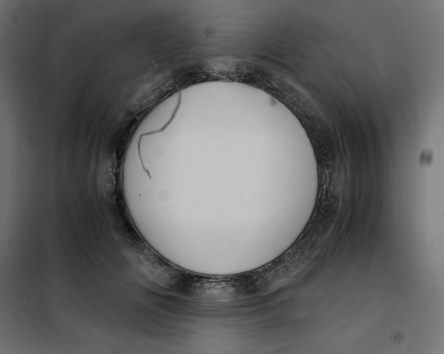 X0000101410702200807281026