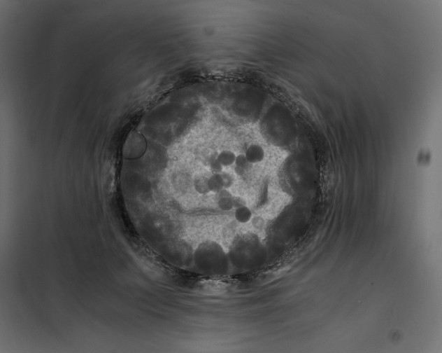 X0000101410703200807281026