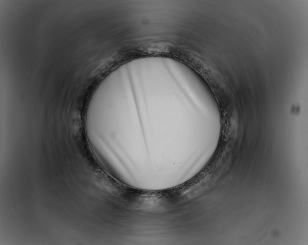 X0000101410704200807281026
