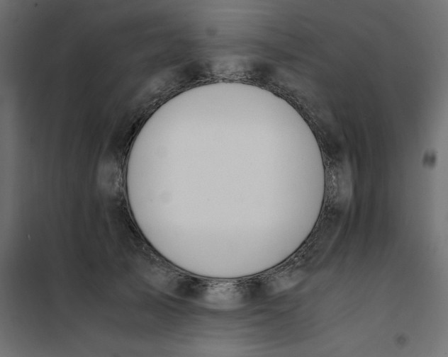 X0000101410705200807281026