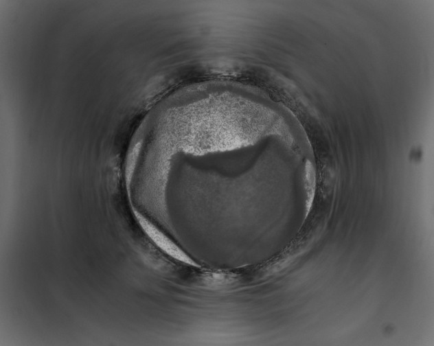 X0000101410707200807281025