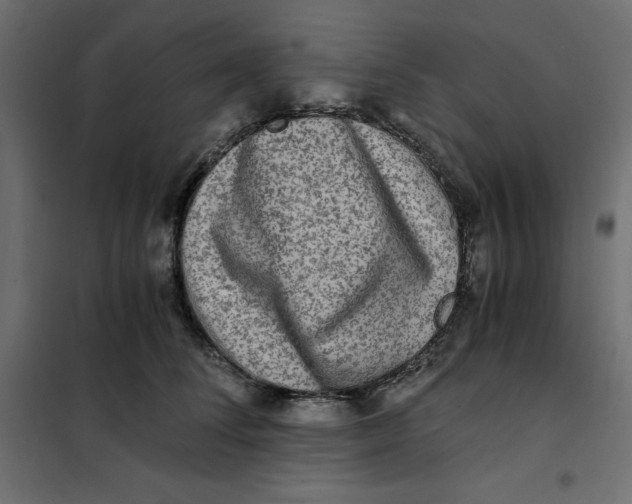 X0000101410708200807281025