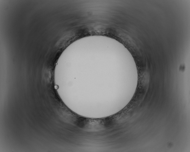 X0000101410709200807281025