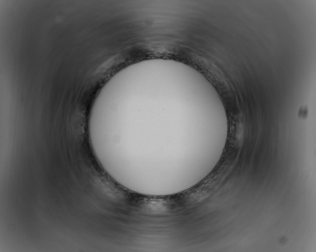 X0000101410710200807281025