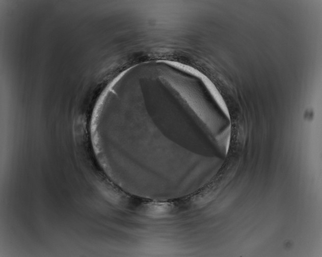 X0000101410711200807281025