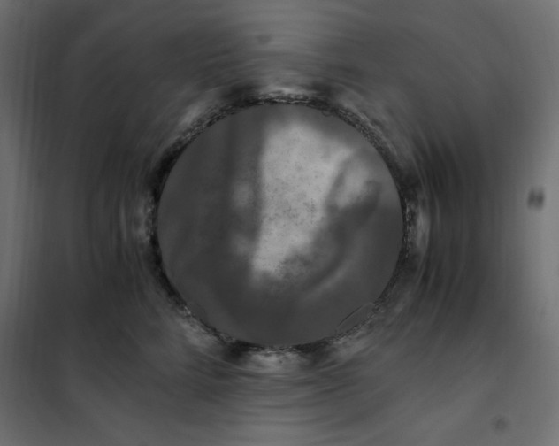 X0000101410712200807281025