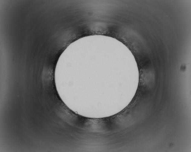 X0000101410713200807281025
