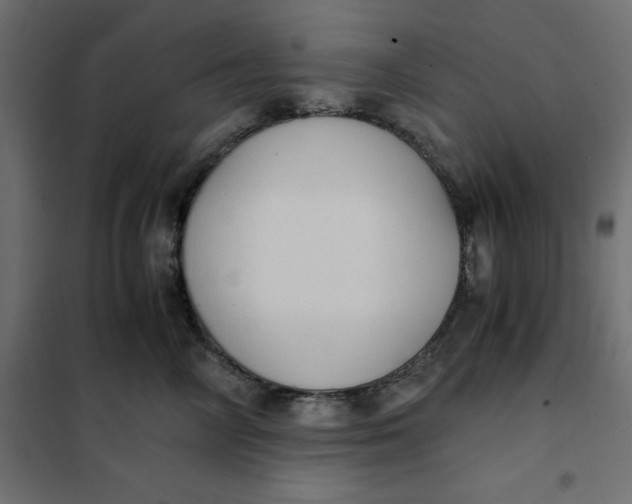 X0000101410714200807281025
