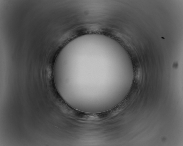 X0000101410715200807281025