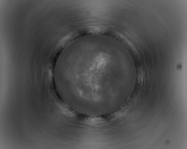X0000101410716200807281025