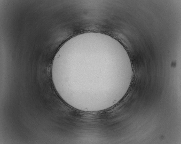 X0000101410717200807281025