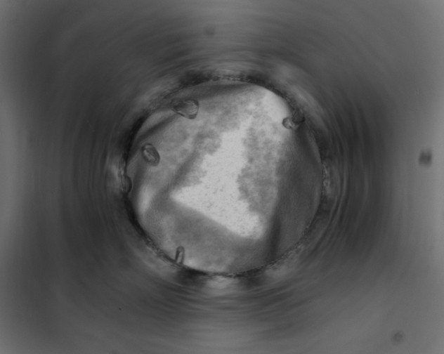 X0000101410718200807281025