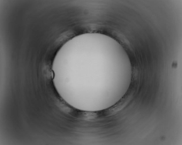 X0000101410719200807281025