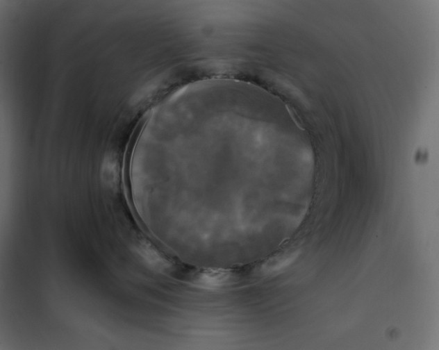 X0000101410720200807281025