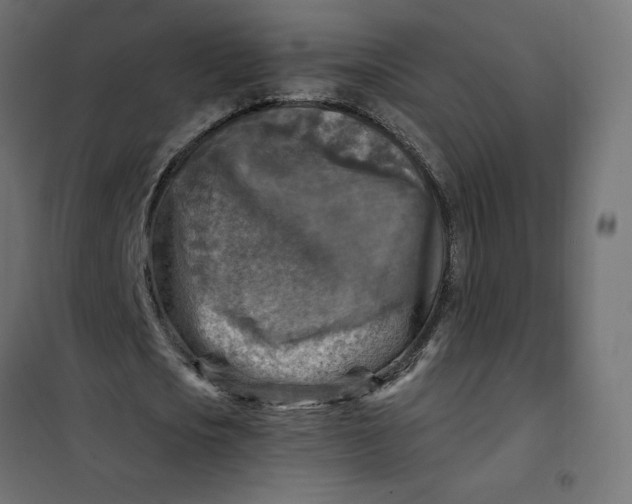 X0000101410721200807281025