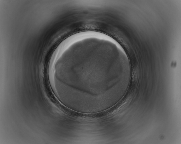 X0000101410722200807281025
