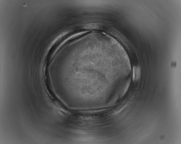 X0000101410723200807281025