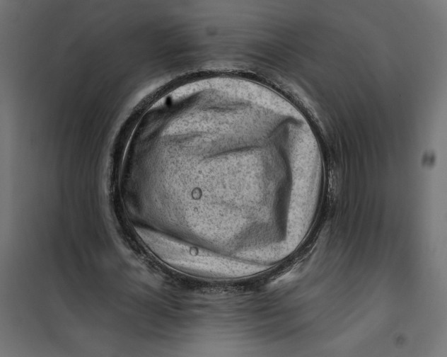 X0000101410724200807281025