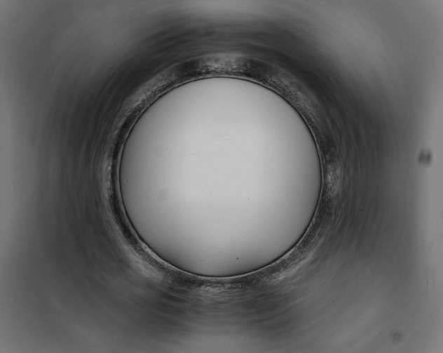X0000101410725200807281025