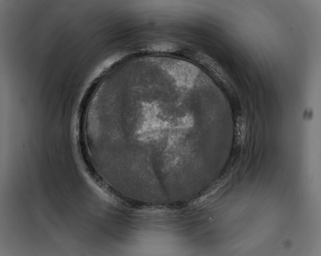X0000101410726200807281025