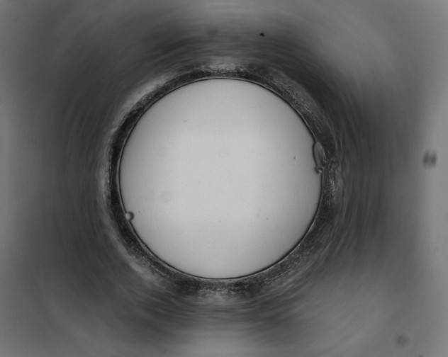 X0000101410728200807281025