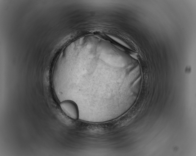 X0000101410729200807281025
