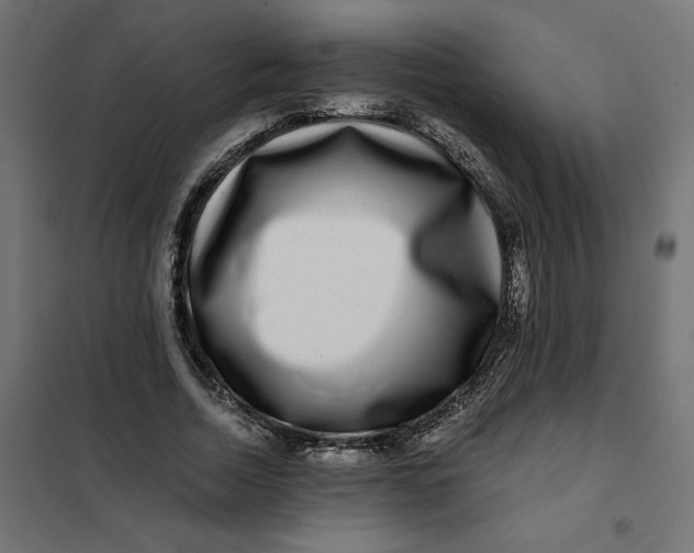 X0000101410730200807281025