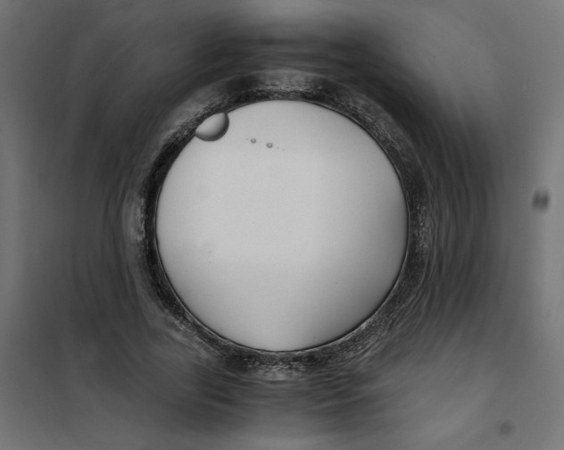 X0000101410731200807281025