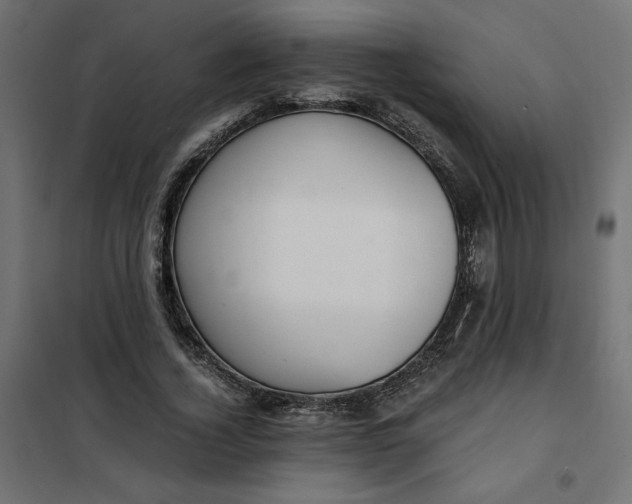 X0000101410732200807281025