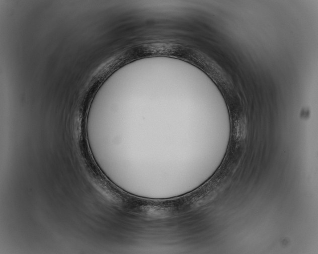 X0000101410733200807281025