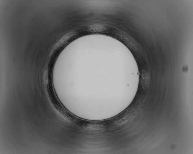 X0000101410734200807281025