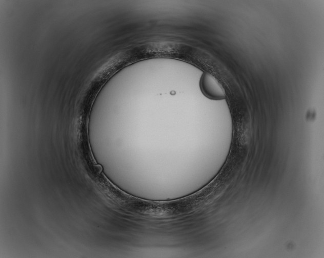 X0000101410735200807281025