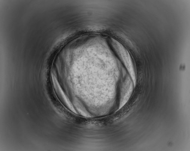 X0000101410736200807281025