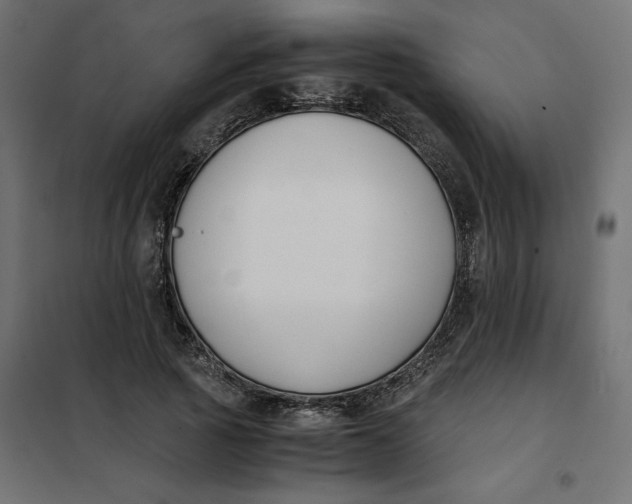 X0000101410737200807281025