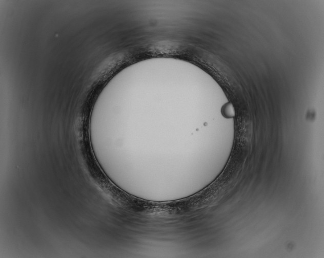 X0000101410738200807281025