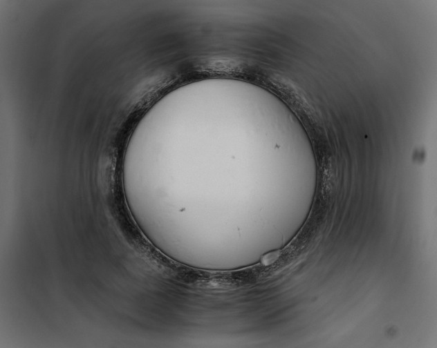 X0000101410739200807281025