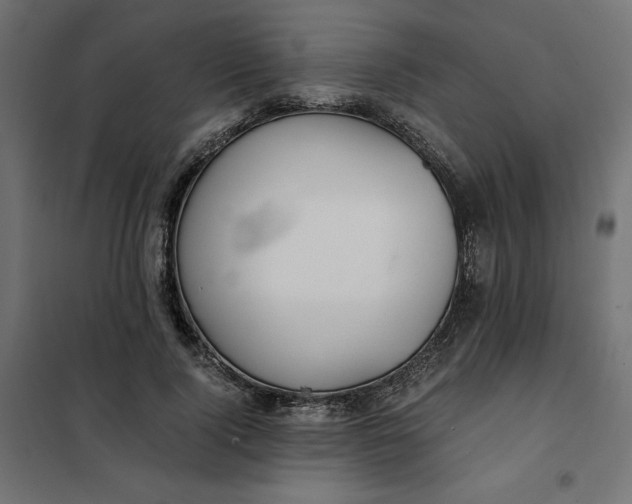 X0000101410740200807281025