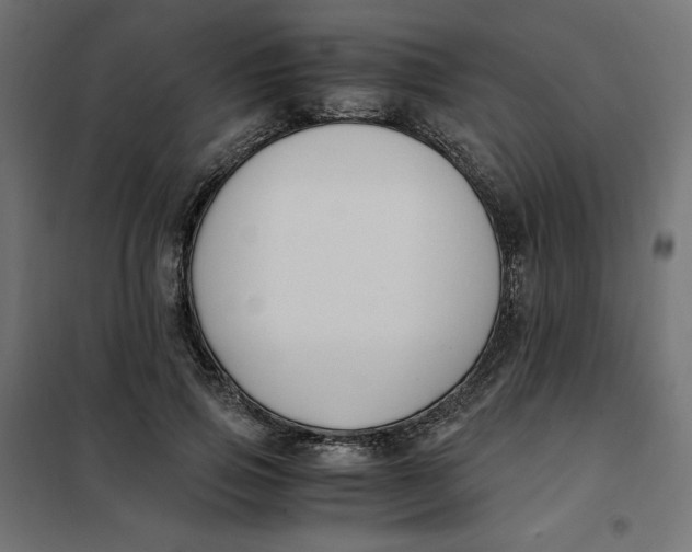 X0000101410741200807281025