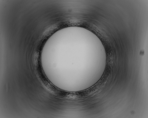 X0000101410742200807281025