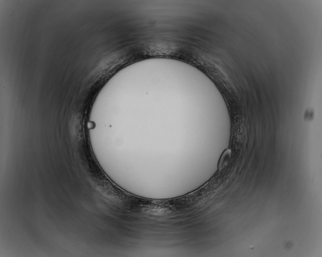 X0000101410743200807281025