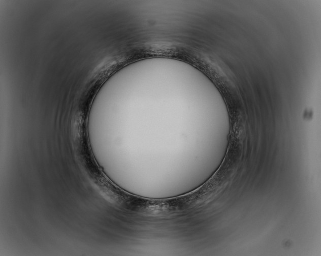 X0000101410744200807281025