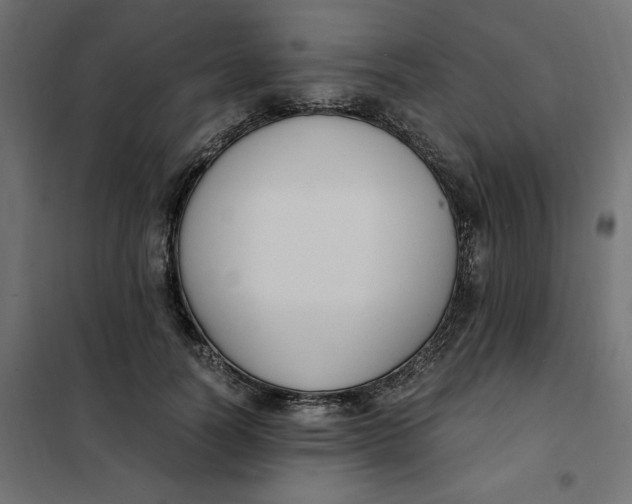 X0000101410746200807281025