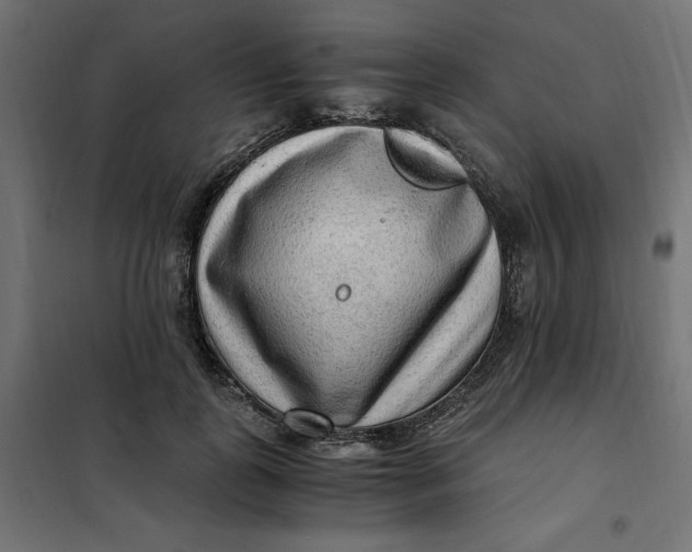 X0000101410747200807281025