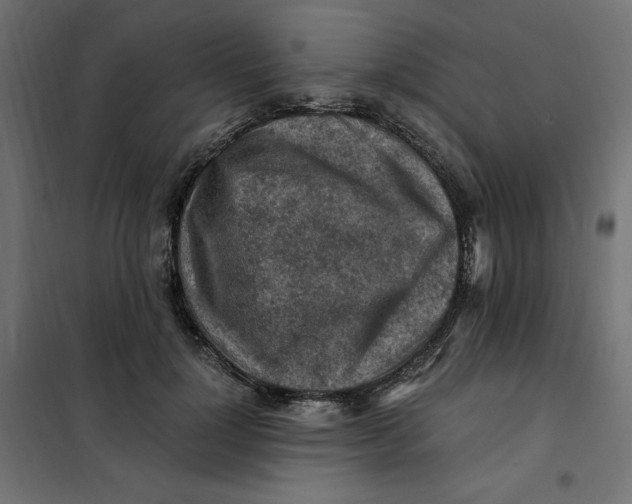X0000101410748200807281025