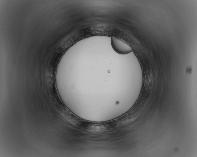 X0000101410749200807281025